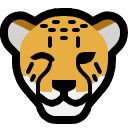 :cheetah_wink: