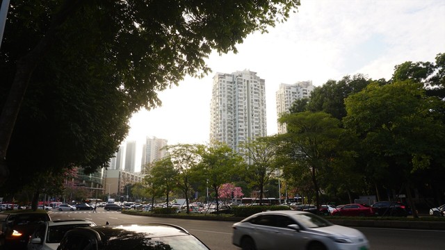 In the background are some tall buildings under a bright sky. in front of them is a tree lined road, half of which is full of cars