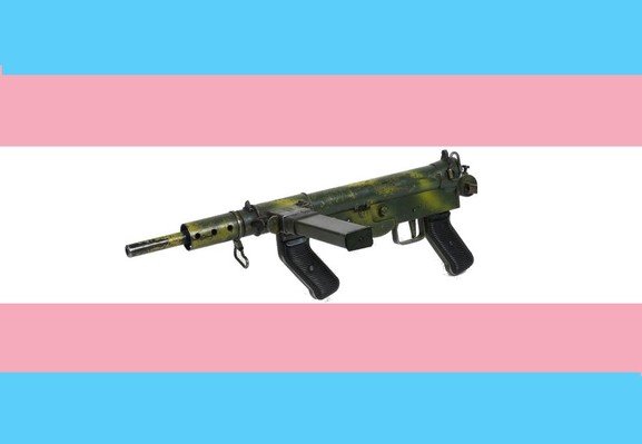 a transgender pride flag with a crude looking submachine gun in the middle