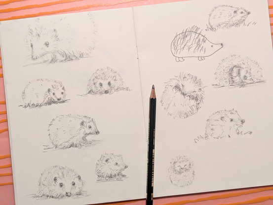 Open sketchbook page with several pencil sketches of cute little hedgehogs by Karen Kaspar