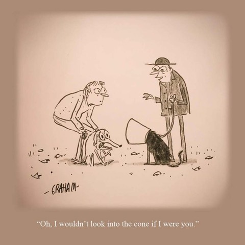 A cartoon illustration of a man and his horrified dog looking into another dog's cone while the owner talks to them. Caption reads "Oh, I wouldn't look into the cone if I were you."