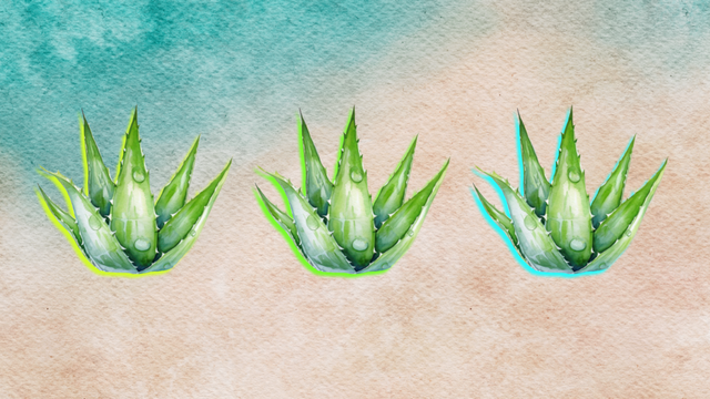 4 Aloe Vera Recipes to Boost Hydration and Recovery