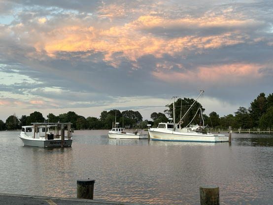Workboats tied up for the night 