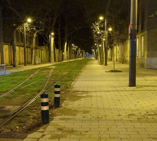 A grassy median between two very wide sidewalks. It's night time. There are several overlapping rail lines in the grassy median. This is part of a tram route. 