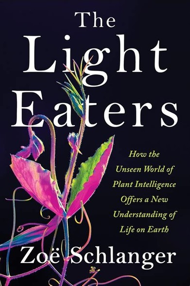 Cover of the book "THE LIGHT EATERS: HOW THE UNSEEN WORLD OF PLANT INTELLIGENCE OFFERS A NEW UNDERSTANDING OF LIFE ON EARTH", by Zoë Schlanger
